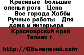 Красивые  большие оленьи рога › Цена ­ 3 000 - Все города Хобби. Ручные работы » Для дома и интерьера   . Красноярский край,Талнах г.